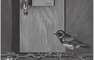 What We Did Waaay Before Twitter | OpenGraph Preview Image