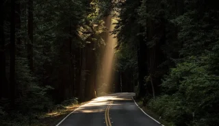 86 Stories Of Progress From 2024 | OpenGraph Preview Image